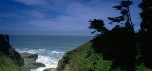 Monterey cliffs